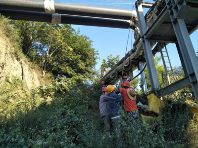 追趕超越，他們用行動爭做排頭兵