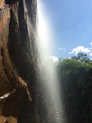 子午嶺瑰寶，軒轅養(yǎng)生谷