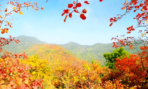 秋韻----層林盡染