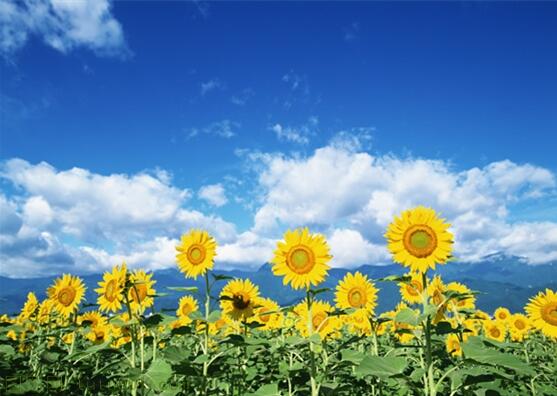 用責(zé)任點(diǎn)燃青春，以擔(dān)當(dāng)成就事業(yè)