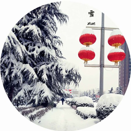 雪，寒冬里的溫柔