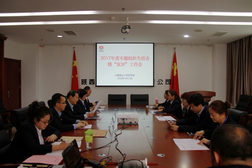 大秦置業(yè)公司：緊嚴(yán)并舉開(kāi)好黨支部2017年度專題組織生活會(huì)暨雙評(píng)工作會(huì)