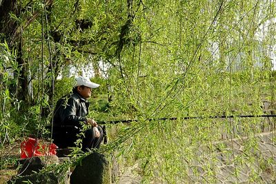 春天，一個(gè)多么富有詩(shī)意的名字??！