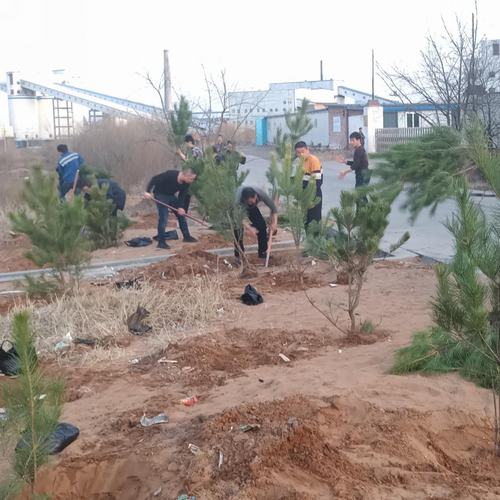 洗選煤運(yùn)營公司洗煤廠： 開展“植樹造林美化家園”活動(dòng)