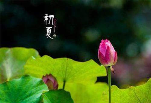 初夏隨筆·詩二首