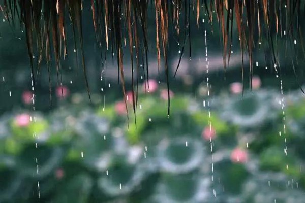 聽雨