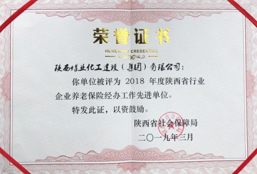 陜煤建設(shè)榮獲省級養(yǎng)老保險經(jīng)辦工作先進單位