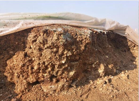 “廢料”變“肥料”，蘑菇包在土壤改良中的應(yīng)用