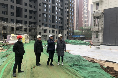 中國建筑標準設(shè)計研究院總建筑師劉東衛(wèi)蒞臨藍山水岸項目參觀指導(dǎo)考察