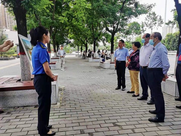 西安市碑林區(qū)人大代表深入陜煤建設(shè)澄合分公司承建的背街小巷提升改造項目進行考察