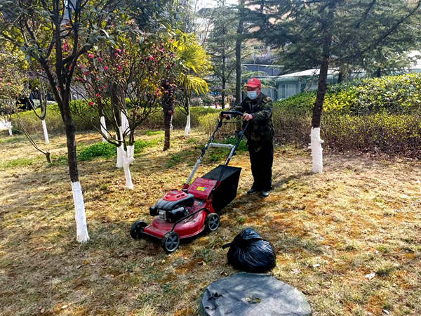 建設集團大秦置業(yè)公司：修剪養(yǎng)護植被為小區(qū)添“新裝”