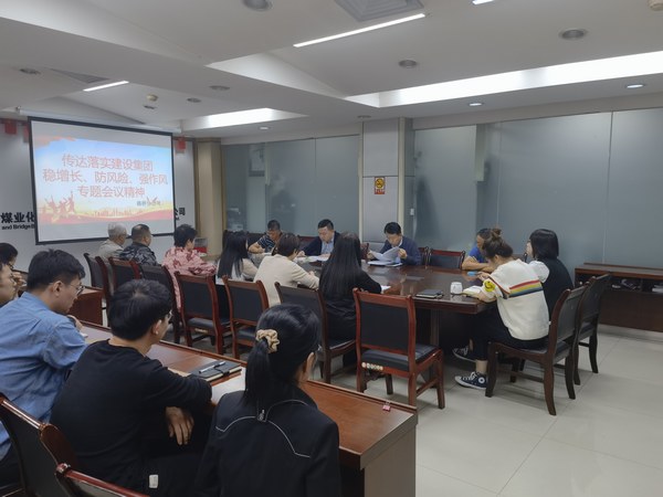 陜煤建設(shè)各單位傳達落實建設(shè)集團穩(wěn)增長、防風險、強作風工作部署會議精神