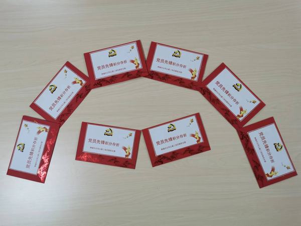 “黨員先鋒”的播種、開花與結(jié)果