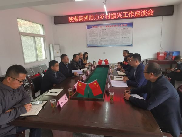 陜煤集團助力鄉(xiāng)村振興辦主任徐國強蒞臨陜煤建設集團定點幫扶村調(diào)研指導工作