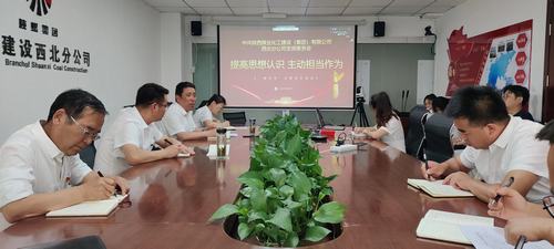 陜煤建設(shè)西北分公司開展“善作為”主題黨日活動