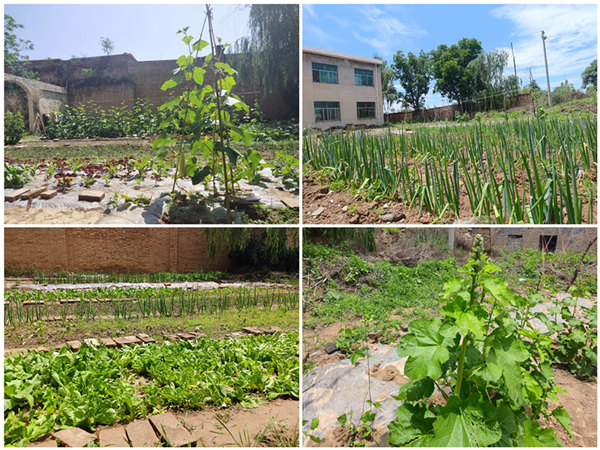 陜煤建設(shè)礦建三公司：項(xiàng)目部里的“開心農(nóng)場(chǎng)”