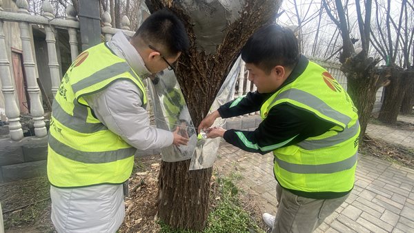 陜煤建設路橋分公司渭南項目部開展“綠色修復，生態(tài)共贏”別樣植樹節(jié)活動