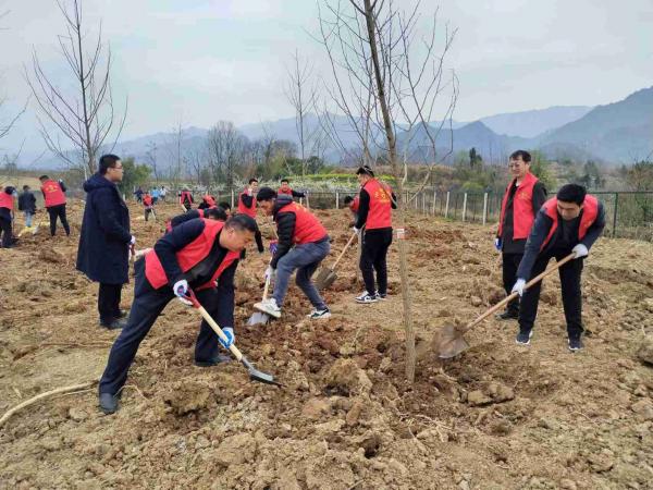 陜煤建設駐村工作隊參加春季義務植樹活動