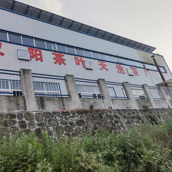 實(shí)事一件接著一件，跑出鄉(xiāng)村振興“加速度”