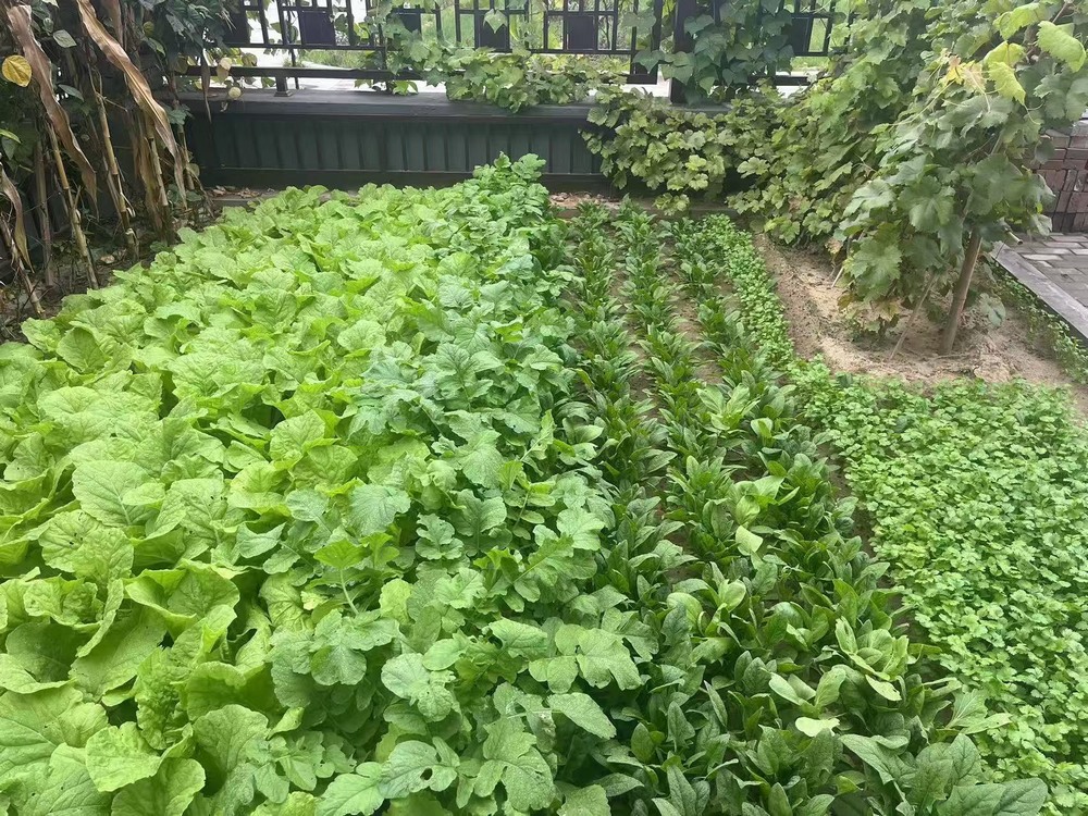 工地之上，家的溫度悄然綻放