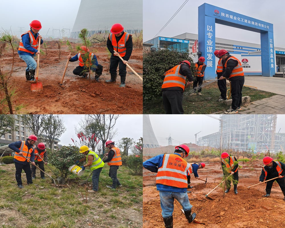 陜煤建設(shè)漢中分公司：為工地添綠 為環(huán)保賦能