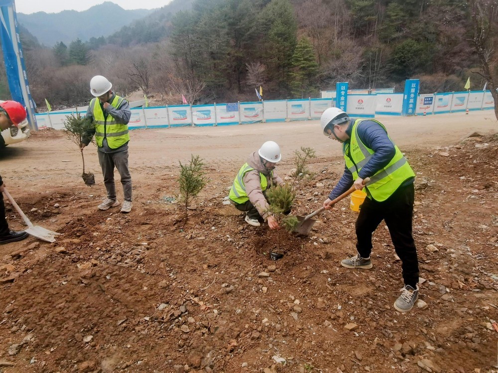 “植”此青綠，陜煤建設(shè)路橋分公司春風(fēng)十里添新林