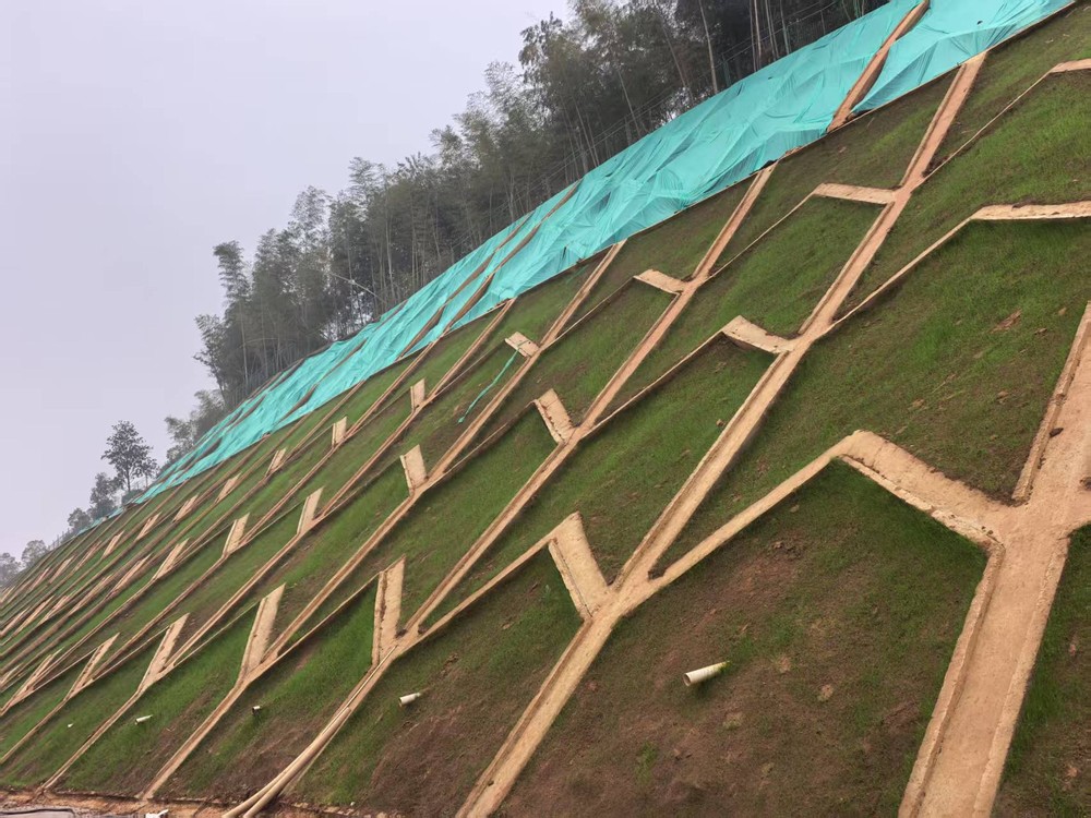 陜煤建設(shè)西北分公司：邊坡披綠衣，防護顯匠心