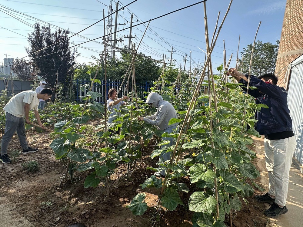 方寸菜園間，鐫刻奮斗與溫情