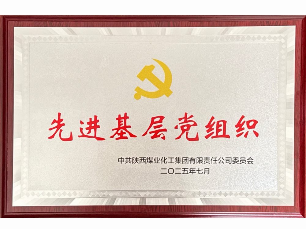 黨建領(lǐng)航結(jié)碩果 實(shí)干擔(dān)當(dāng)譜新篇