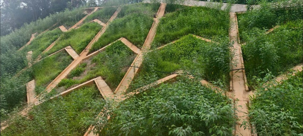 陜煤建設(shè)西北分公司：長安益陽發(fā)電有限公司2×100萬千瓦擴(kuò)能升級改造項目 高邊坡支護(hù)工程順利通過竣工驗收