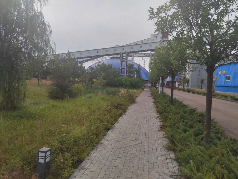 陜煤建設(shè)洗選煤運營公司紅柳林洗煤廠項目部：秋韻里的安全堅守與生產(chǎn)奮進(jìn)