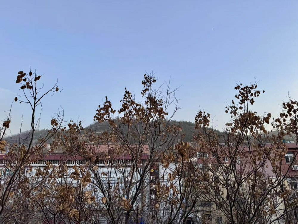 秋意漸濃時(shí)，回望來(lái)時(shí)路