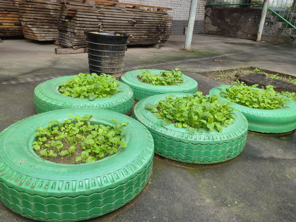 創(chuàng)意無休，廢舊輪胎也能C位出道