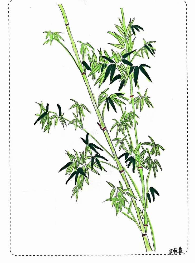 漫說(shuō)廉潔！這組“草木廉盟”太可了