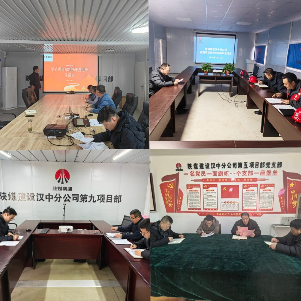 陜煤建設(shè)漢中分公司黨總支所屬各黨支部高質(zhì)量召開2025年度組織生活會(huì)