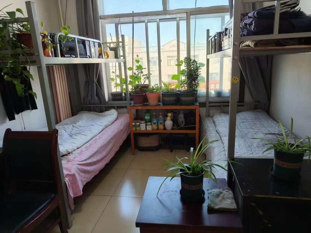 陜煤建設(shè)洗選煤運(yùn)營公司檸條塔運(yùn)營項(xiàng)目部：暖心筑港灣  聚力興征程