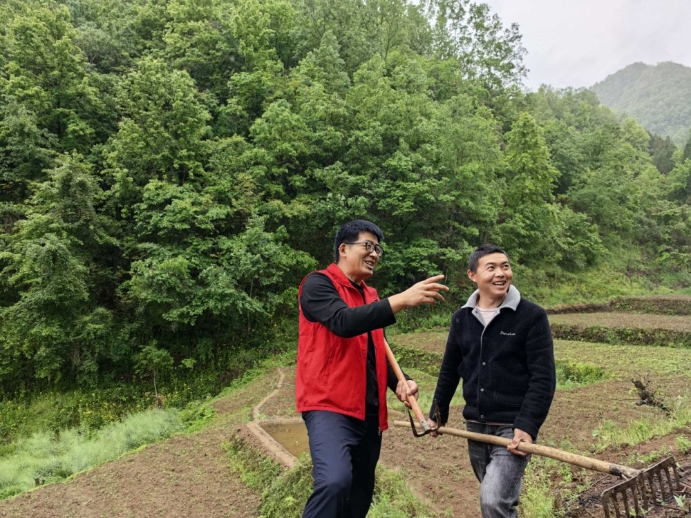 雨生百谷，情滿山村